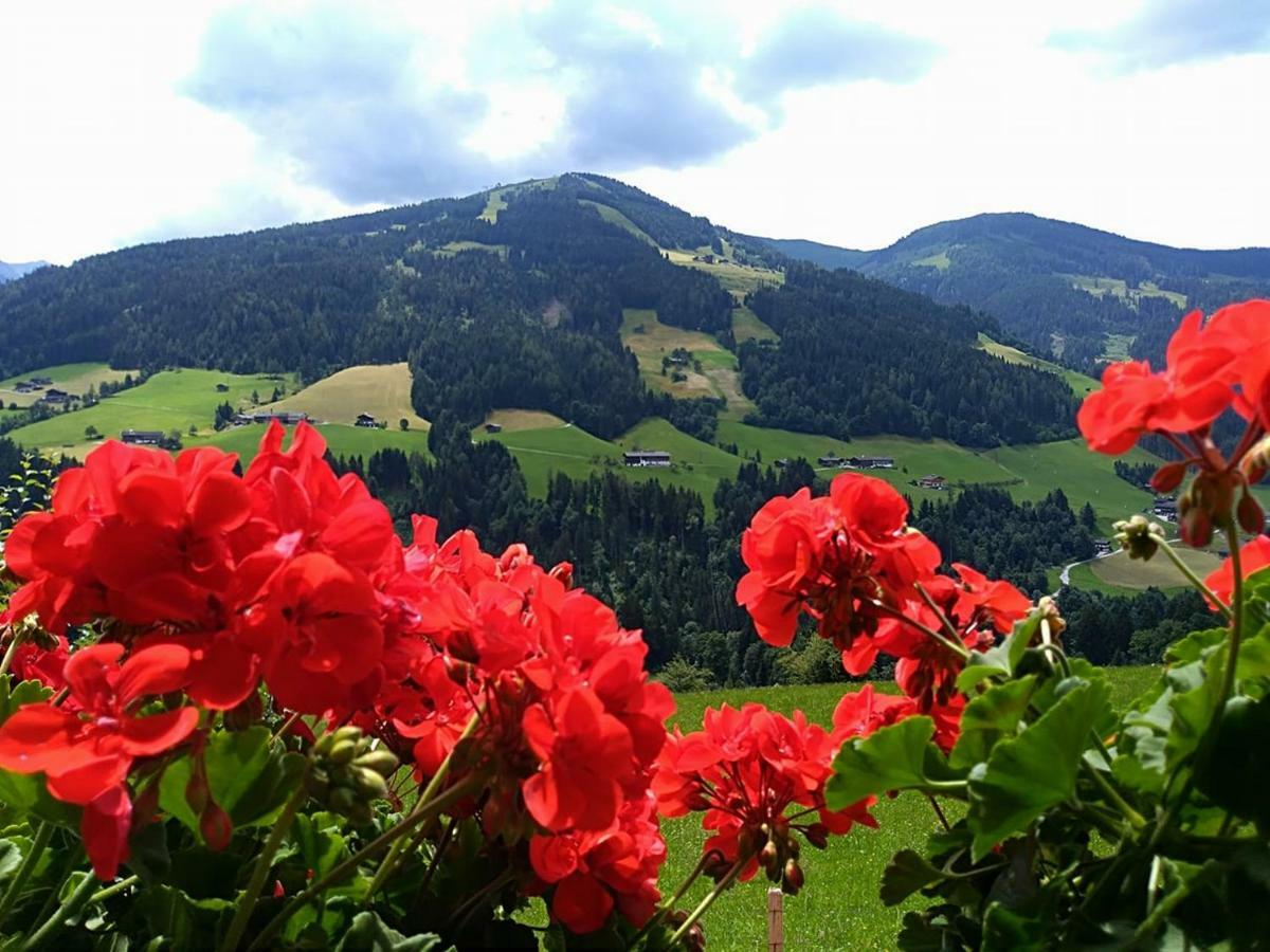 Aussermooserhof Alpbach Eksteriør bilde